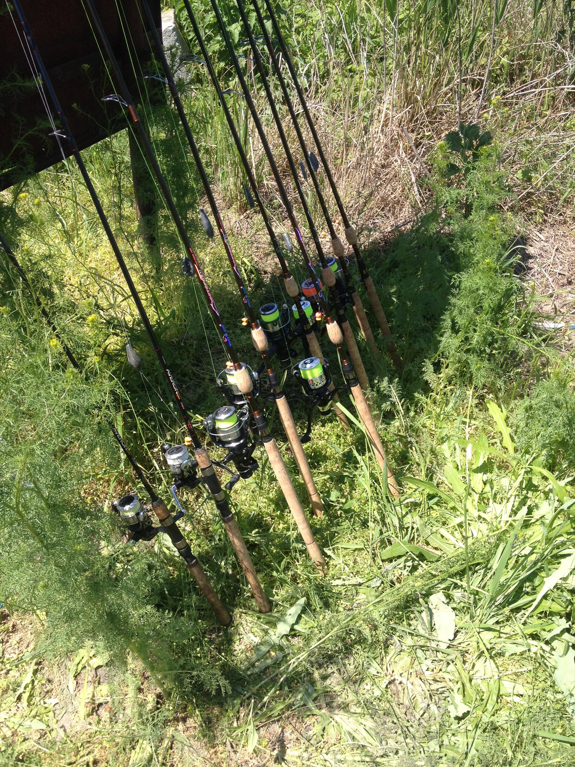 Delta Dunarii - img1144.JPG